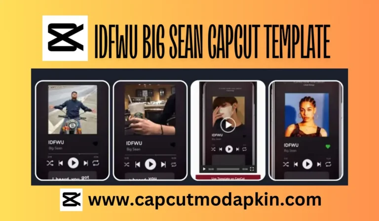 IDFWU Big Sean CapCut Template